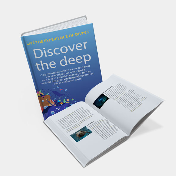Book On Demand Qty 500
